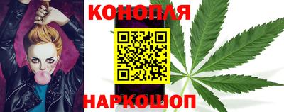 прущие грибы Жуковский