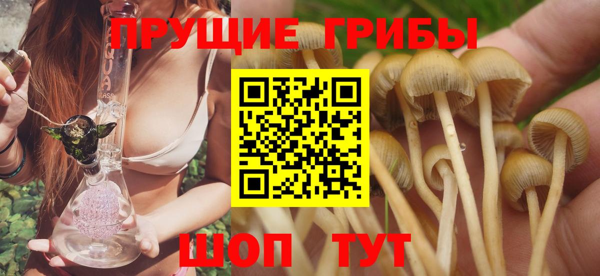 Псилоцибиновые грибы Psilocybine cubensis  Псилоцибиновые грибы Magic Shrooms  Вход с VPN  Майский 