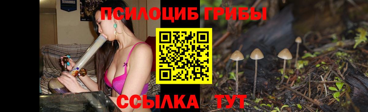 Галлюциногенные грибы GOLDEN TEACHER Майский